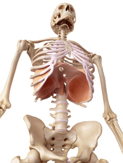 Hiatus sérv kezelési műtét nélküli (diafragma) Hiatus hernia kezelés műtét nélkül