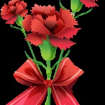 Carnation virágfélékkel