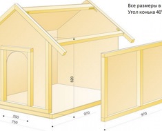 Útmutató, hogyan kell csinálni a fülkében a kutya a saját kezével, rajzok és fotók