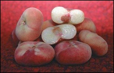 : Peach lapos őszibarack összetételének és használatának