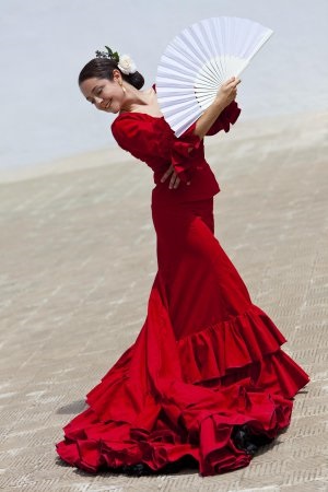 Spanyol flamenco szoknya, hogyan kell kiválasztani, vagy hogy (szépség) Spanyol flamenco szoknya, hogyan kell választani, vagy hogy