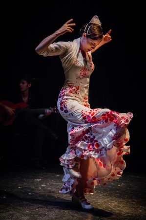 Spanyol flamenco szoknya, hogyan kell kiválasztani, vagy hogy (szépség) Spanyol flamenco szoknya, hogyan kell választani, vagy hogy