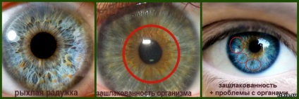 Izkiss - női site kép a kíváncsi (izkiss) Izkiss - női site kép a kíváncsi