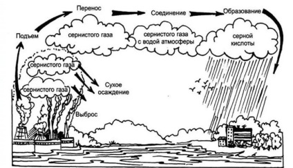 Hogyan kell kezelni a savas eső - módon megoldani a problémákat