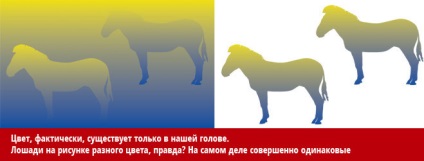 Mivel a legjobb optikai illúziókat megtéveszteni az elméd (Ennek ellenőrzéséhez) Mivel a legjobb optikai illúziókat becsapni az agy