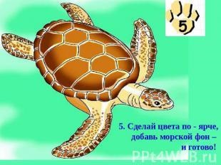 Hogyan kell felhívni a tengeri teknős, szakaszosan (teknős) Hogyan kell felhívni a tengeri teknős, fokozatosan