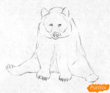 Hogyan kell felhívni a medve ül szakaszában