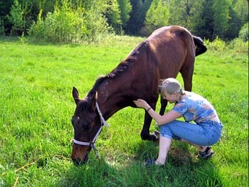 Hogyan kell tanítani egy ló íj - lóháton, lovászok,