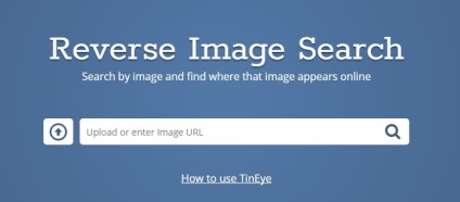 Hogyan talál egy képet az interneten fotók, keresse az eredeti forrás