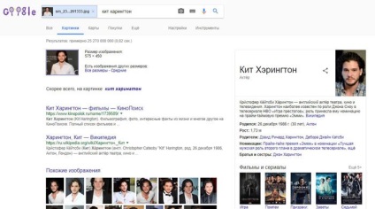 Hogyan talál egy képet az interneten fotók, keresse az eredeti forrás (az internetről) Hogyan talál egy képet az interneten fotók, keresse az eredeti forrás