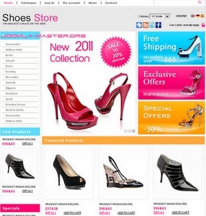 Hogyan kell megnyitni egy online bolt cipő