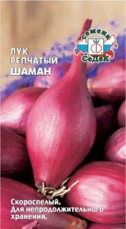 Hogyan növény hagyma mag, kertész (felső fél őrölték) Hogyan növény hagyma mag, kertész
