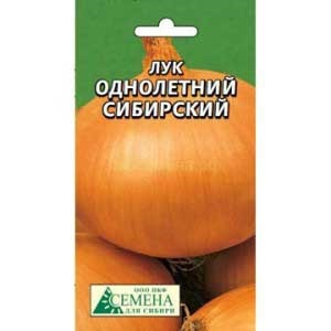 Hogyan növény hagyma mag, kertész (mag) Hogyan növény hagyma mag, kertész