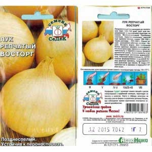 Hogyan növény hagyma mag, kertész (felső fél őrölték) Hogyan növény hagyma mag, kertész