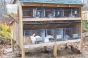 Hogyan építsünk egy madárház fácán kezét, hogyan lehet a legjobban - a melléképület