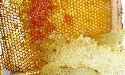 Hogyan kell alkalmazni a aloe és méz, ellenjavallatok, és terápiás tulajdonságokkal