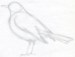 Hogyan kell felhívni a madarak lépésről lépésre egy ceruzával - tanulságok levonása - hasznos artsphera