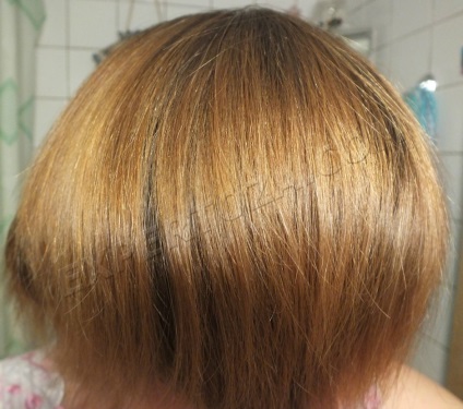 Hogyan festeni a haját otthon magát festék tartományban, expertoza