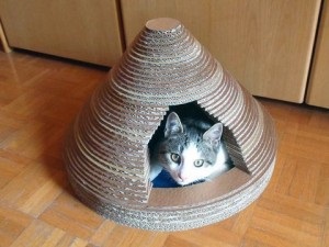 Hogyan készítsünk egy otthon macskák kartonból