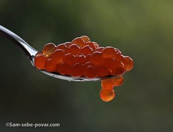 Hogyan savanyú tojás recept fényképpel (recept fotó) Hogyan savanyú tojás recept egy fotó
