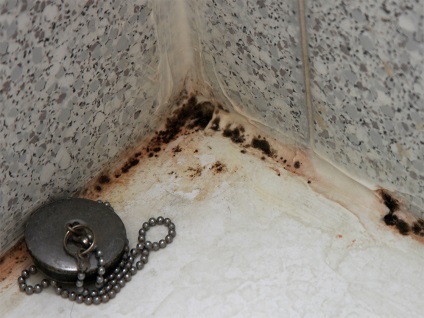 Hogyan lehet eltávolítani a gomba a fürdőszobában hatékony módon
