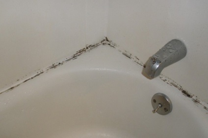 Hogyan lehet eltávolítani a gomba a fürdőszobában hatékony módon