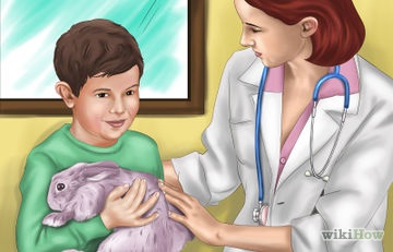 Hogyan törődik egy újszülött nyulak