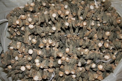 Hogyan lehet felkészülni a jövőbeni felhasználásra okra (üres származó okra) Hogyan lehet felkészülni a jövőre okra