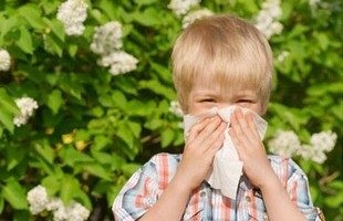 Csepp - allergoniks - allergia válaszokat, az ár a kábítószer, és utasításokat