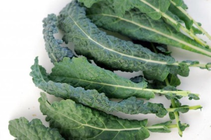 Kale leírás, jellemzői a termesztés, a fajtákat, fotók