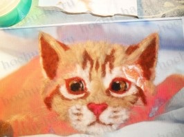 Kép gyapjú - Kitten