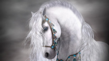 Miért álmodom lovak - Dream Book