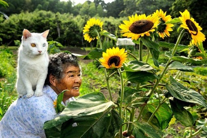 Macska és nagyanyja