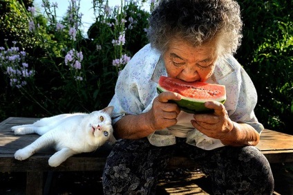 Macska és nagyanyja