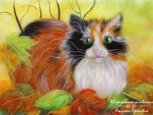 Macska a sugarak szeptember (hogyan kell felhívni a macska) A Macska a fény szeptember