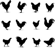 Csirke ütemezéséhez free vektor csirke - letöltés 81 fájlokat