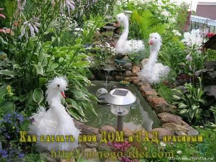 Swans üvegházhatású filmek (nincs hozzászólás) Swans üvegházhatású filmek