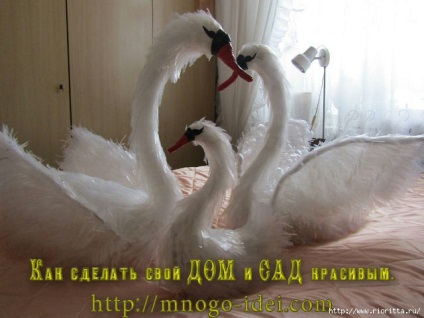 Swans üvegházhatású filmek (blog) Swans üvegházhatású filmek