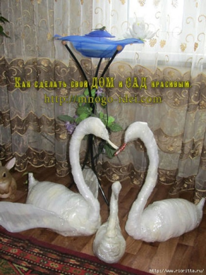 Swans üvegházhatású filmek (hattyúk) Swans üvegházhatású filmek
