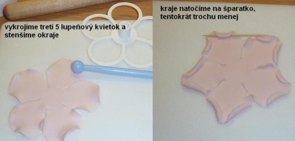 Lepim emelkedett cukor öntött (vízfürdő mikrohullámú sütő) Lepim rózsa cukrot öntött