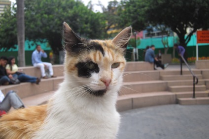 Lima, Peru