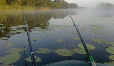 Fogása ponty úszó rúd