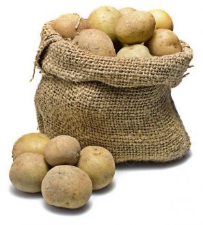 A legjobb holland burgonyafajták (fajta) A legjobb holland burgonyafajták