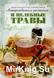 A mágikus tulajdonságait gyógynövények - a világ a könyvek, letölthető könyvek ingyenes (gyűjtése) A mágikus tulajdonságait gyógynövények - a világ a könyvek-könyvek ingyenes letöltés