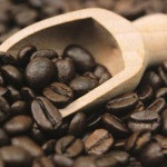 Maragogype kávé