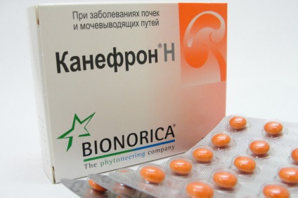 Kanefron vizelethajtó tabletták, cseppek, hatásmechanizmusa