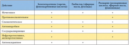 Kanefron vizelethajtó tabletták, cseppek, hatásmechanizmusa