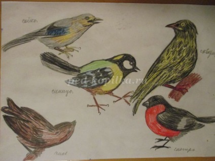 Monotype általános iskola (monotype) Monotype az általános iskolai