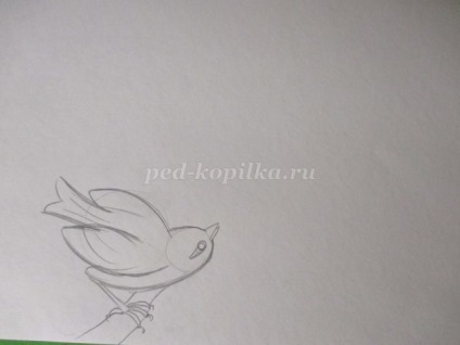 Monotype általános iskola (amely madár ül fa) Monotype az általános iskolai
