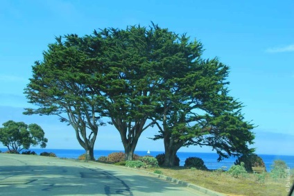 Monterey - látnivalók az egykori főváros California